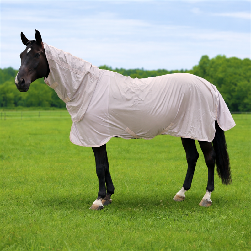 Equestrian Essentials hyönteisloimi kaulakappaleella