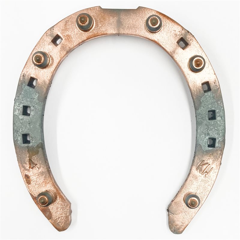 TT Goldshoe 18x6 w/ 6x10mm studs, front, flat (pair)