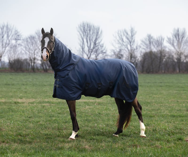 Kingsland Turnout Rug, 200g