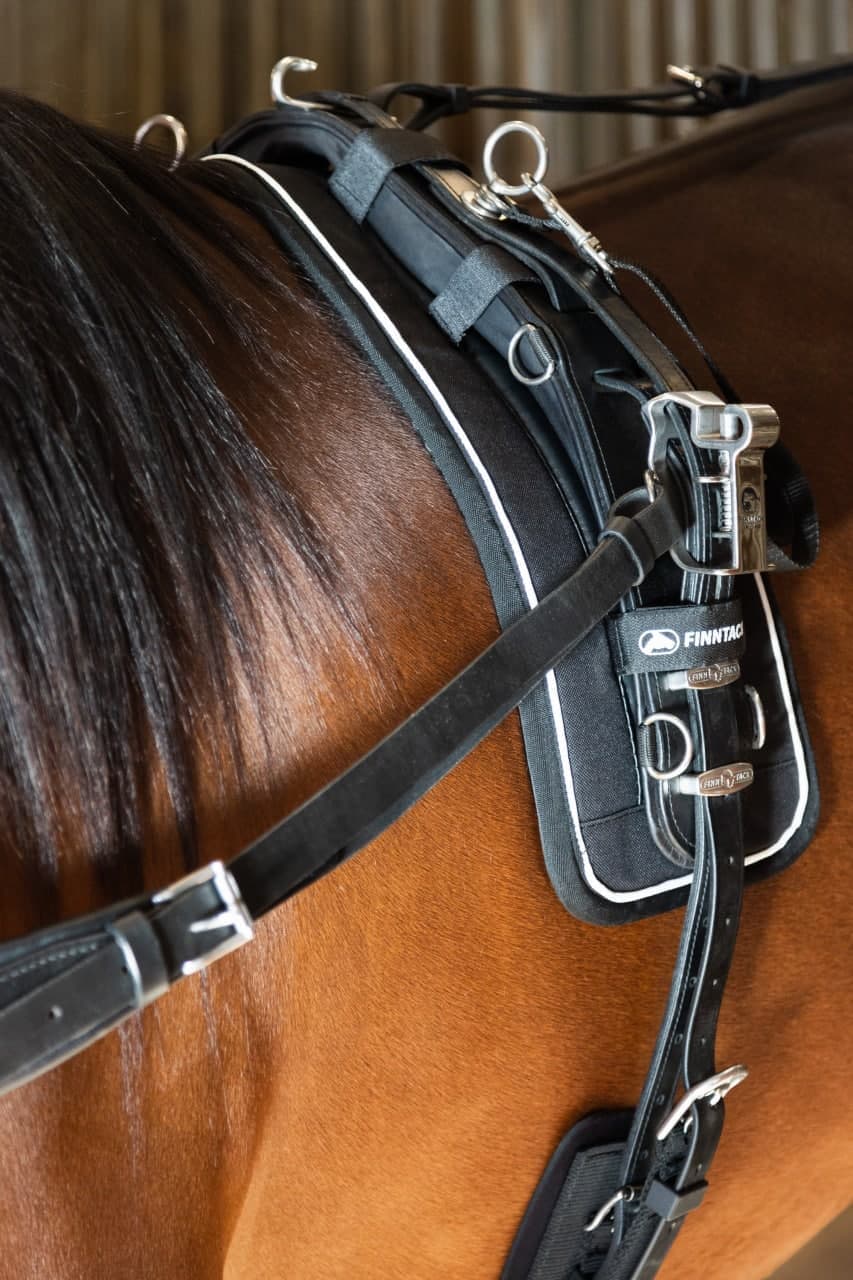 Finntack Pro QH Synthetic Training Saddle