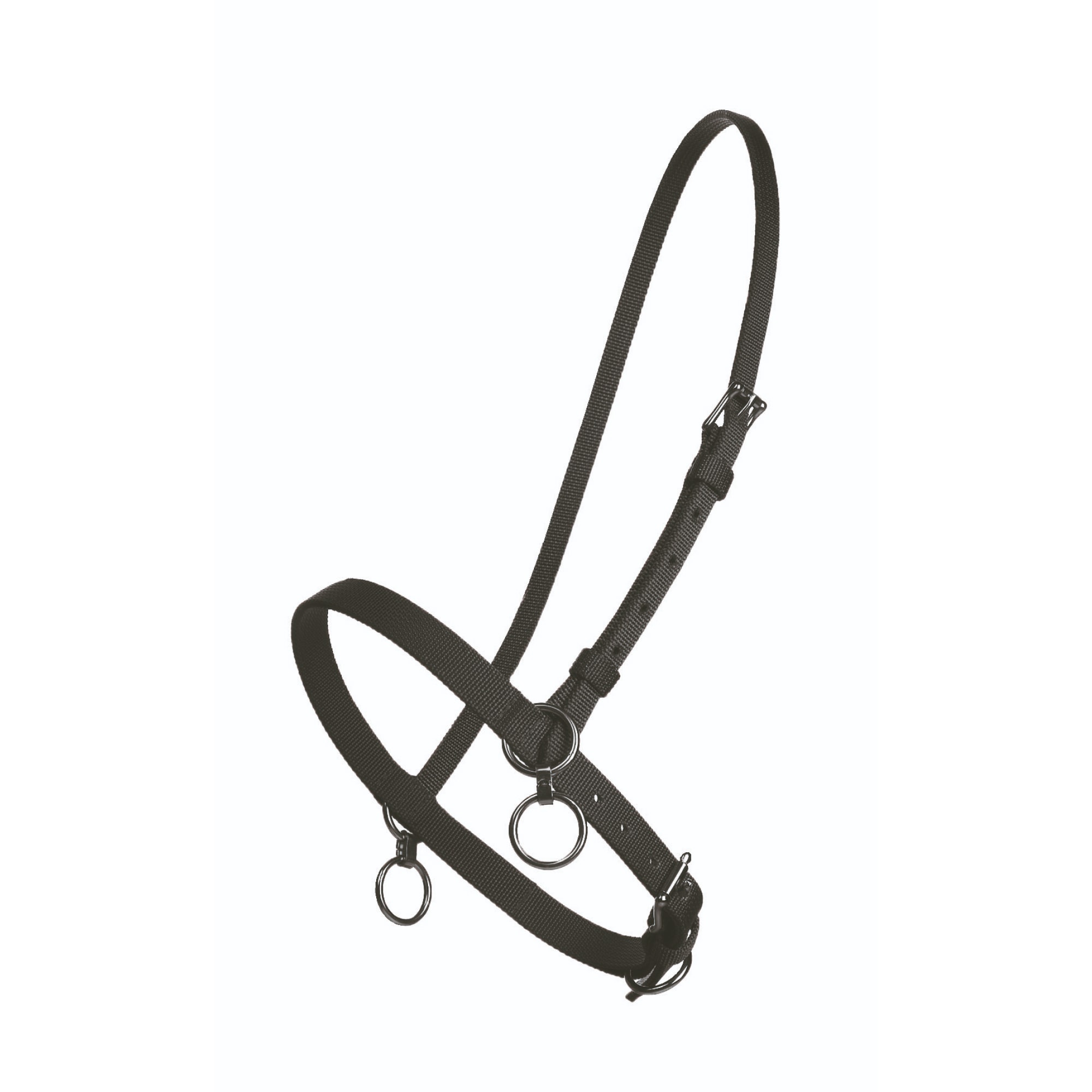 Finntack Pro Synthetic Fixed Head Halter with Martingale Ring