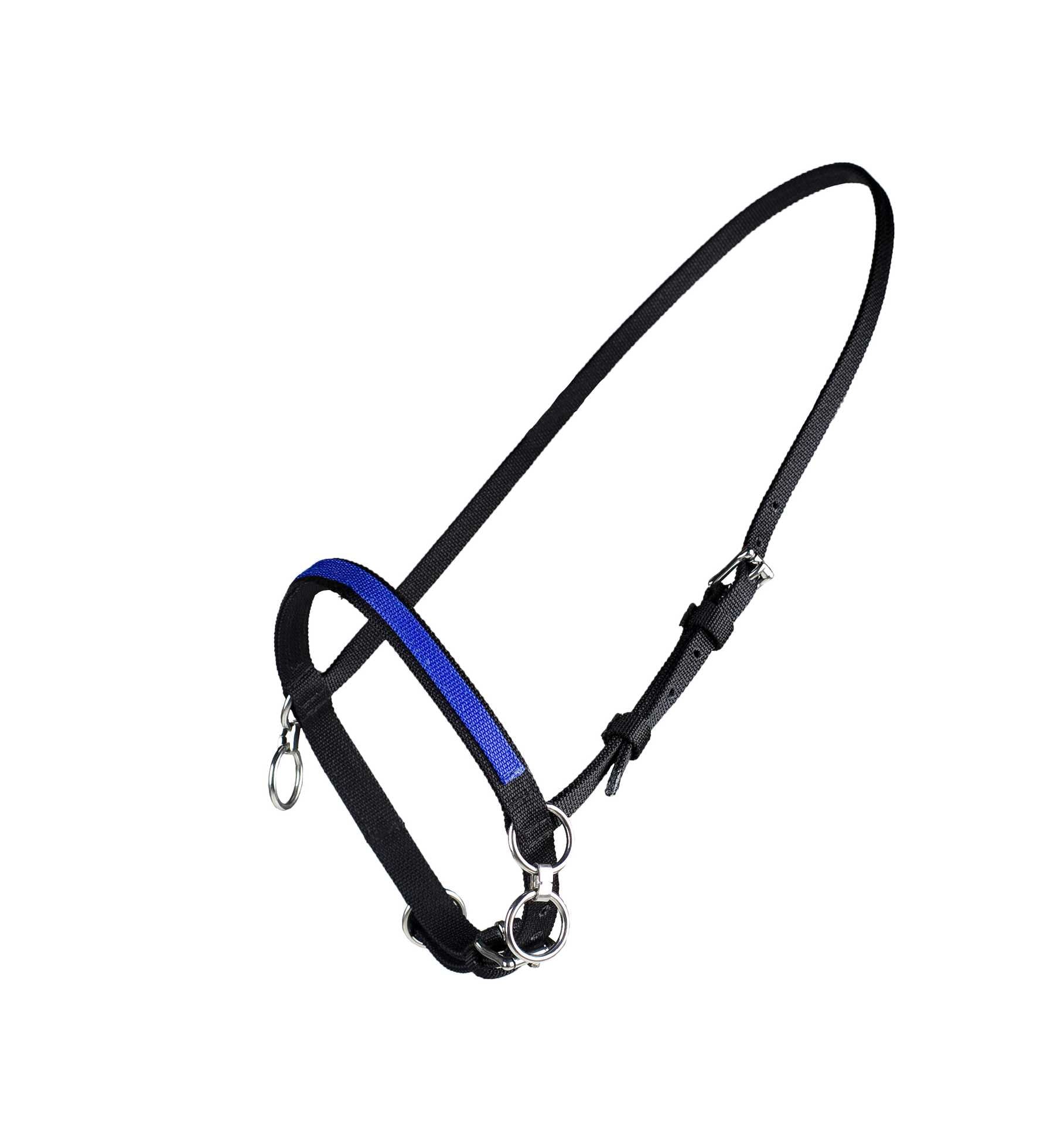 Finntack Pro Synthetic Fixed Head Halter with Martingale Ring