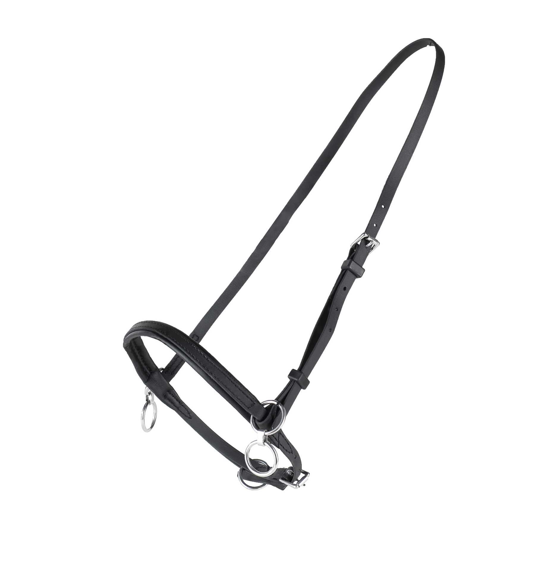 Finntack Pro Synthetic Head Halter with Martingale Ring