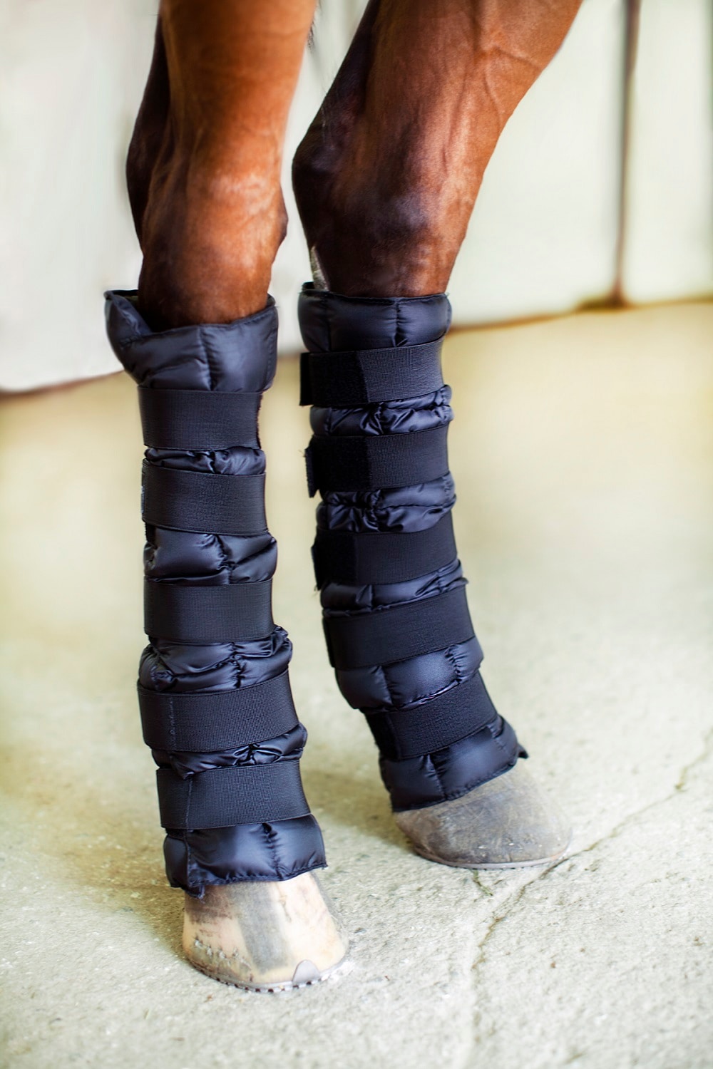 Finntack Pro Cooling Leg Wraps XL (pair)