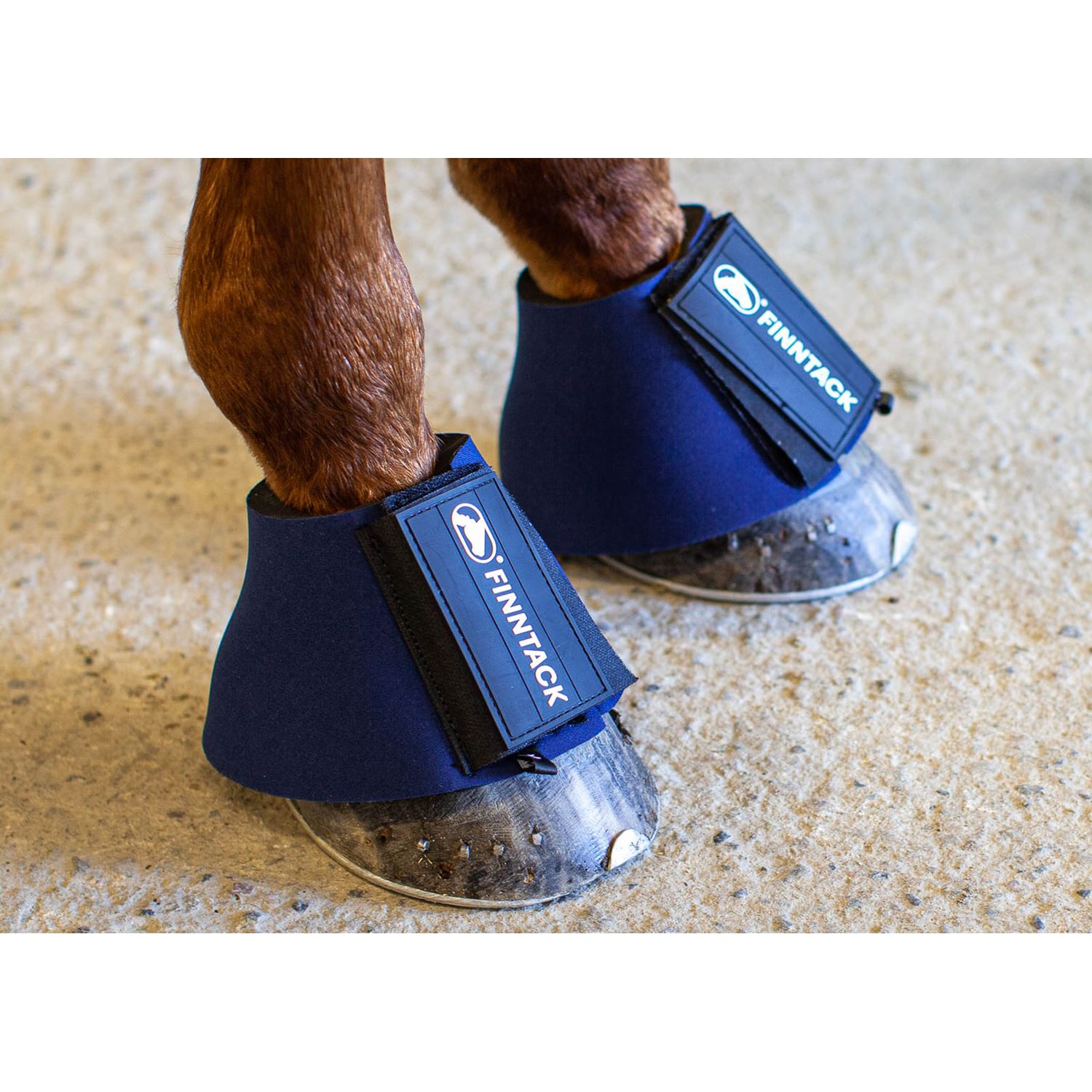 Finntack Pro Probell Boots (pair)