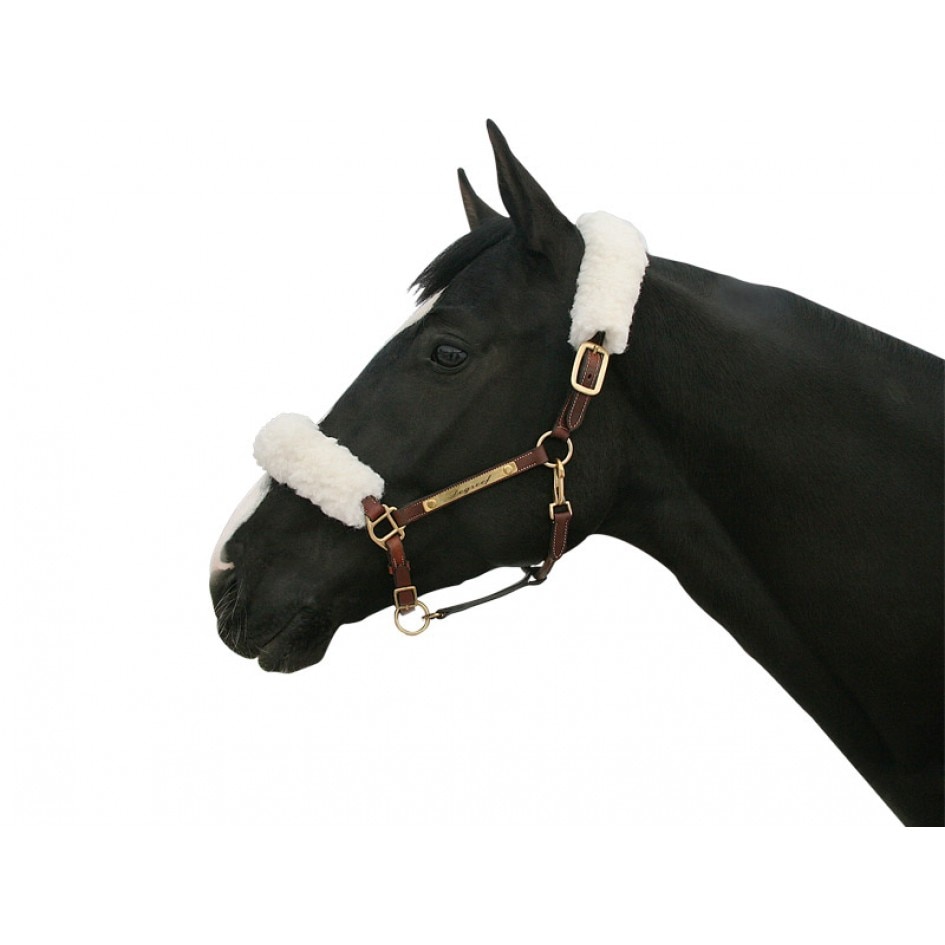 Back On Track Halter covers