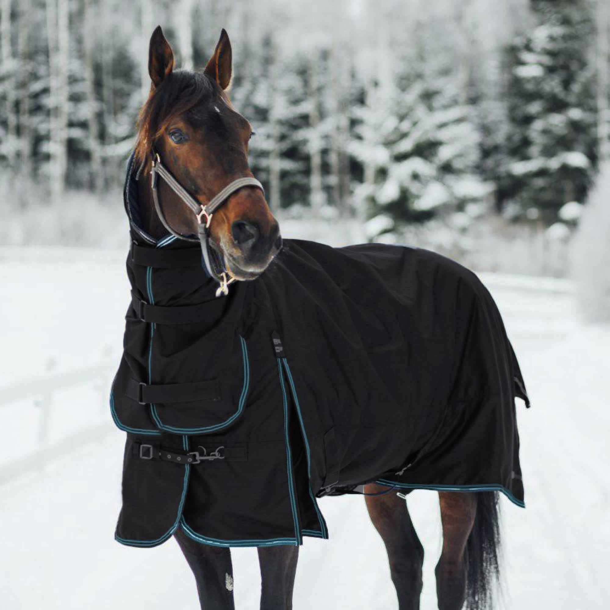 Finntack Pro Alaska Combo Talviloimi, 250g