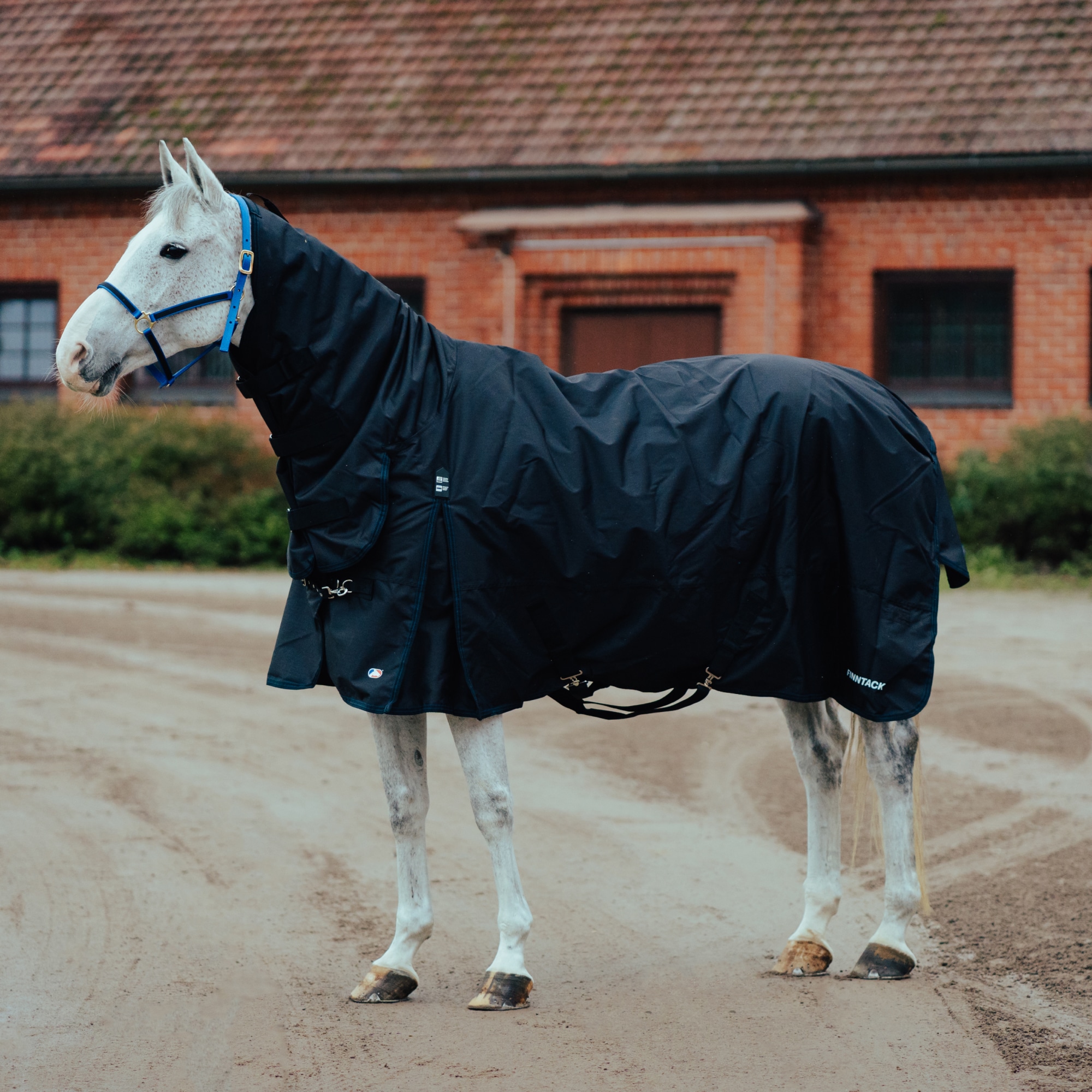 Finntack Pro Oregon Combo sadeloimi, 100g