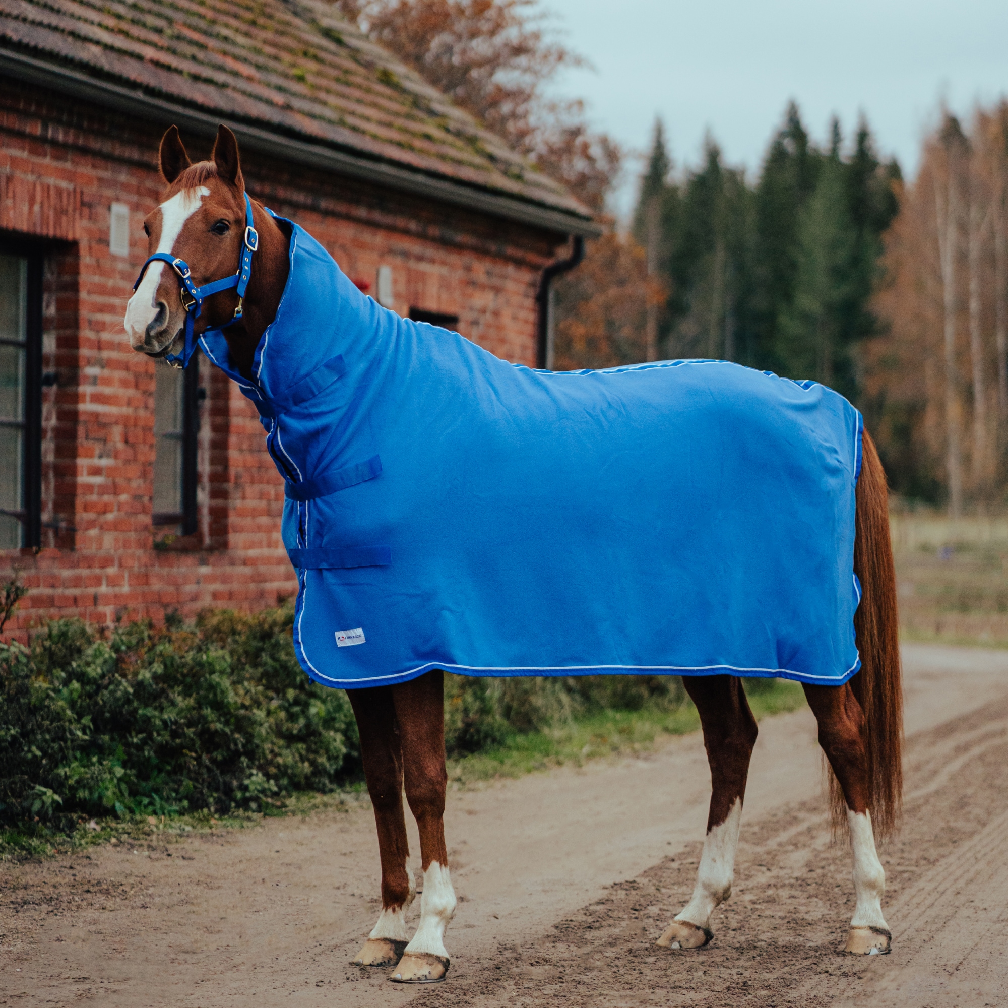 Finntack Pro cooler-loimi kaulakappaleella