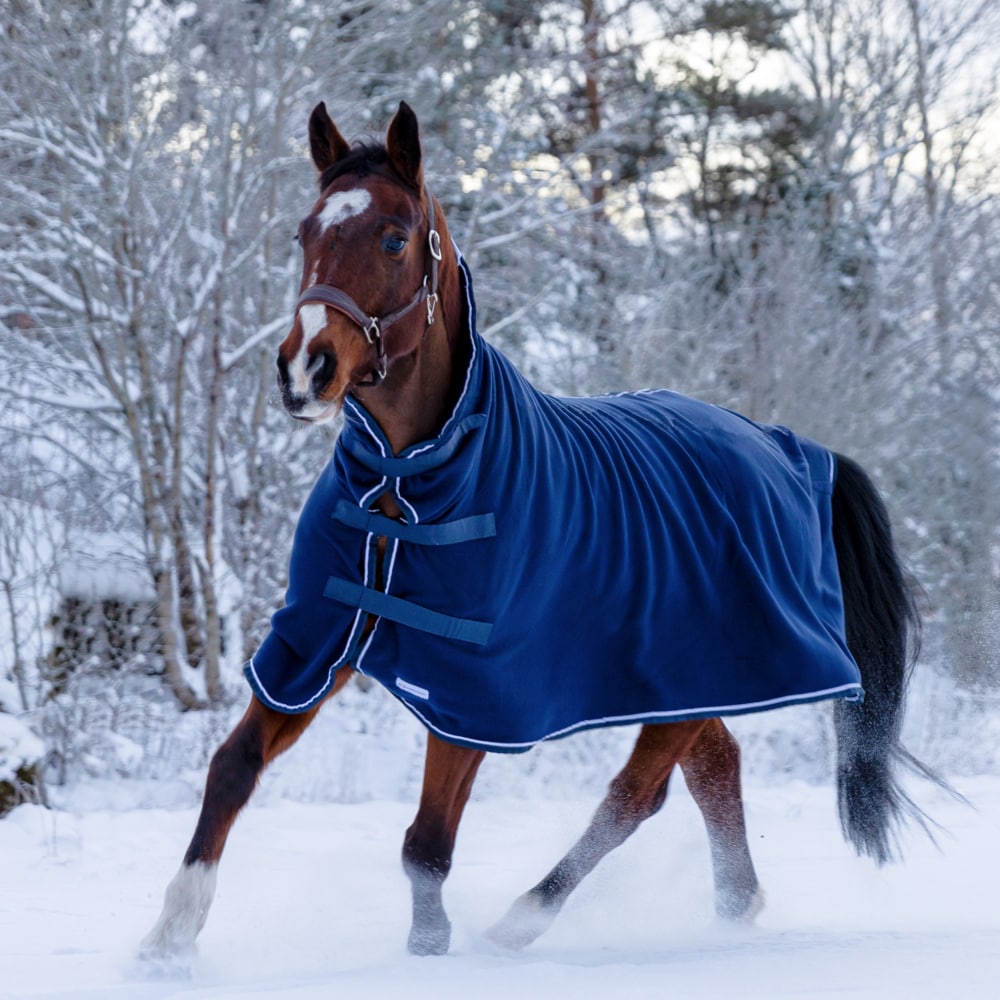 Finntack Pro High Neck Cooler Rug