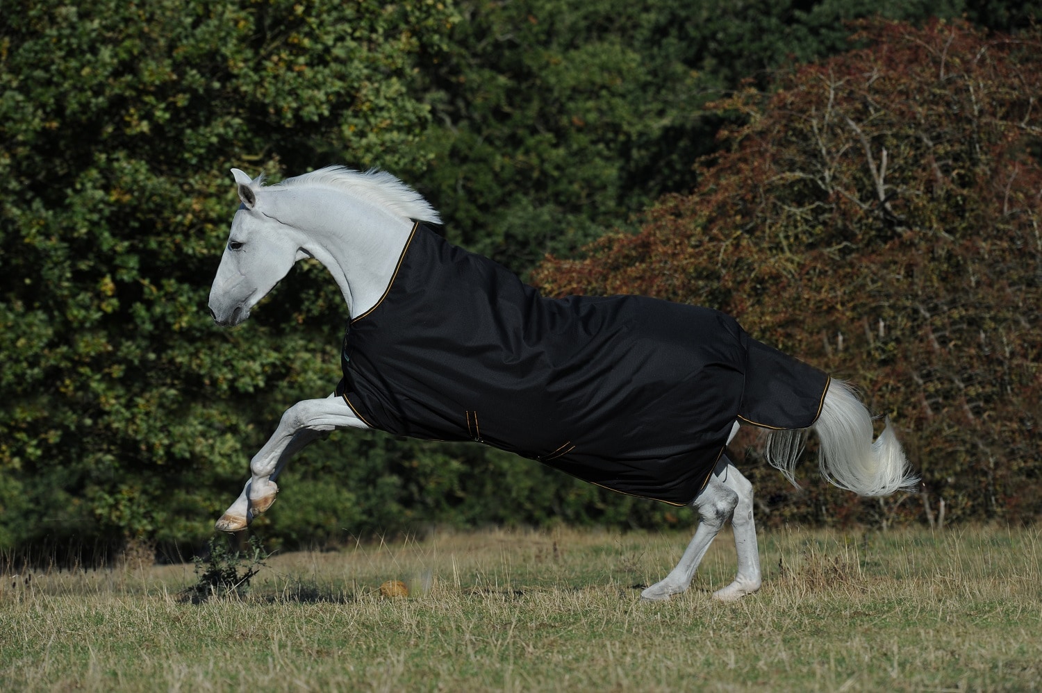 Bucas Irish Turnout Extra High Neck, 300 g