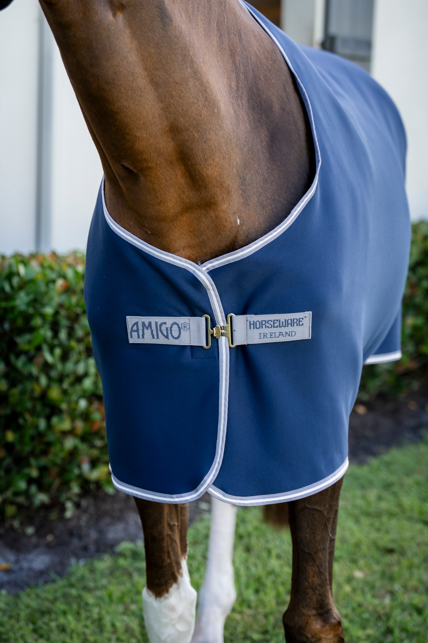 Horseware Amigo Jersey