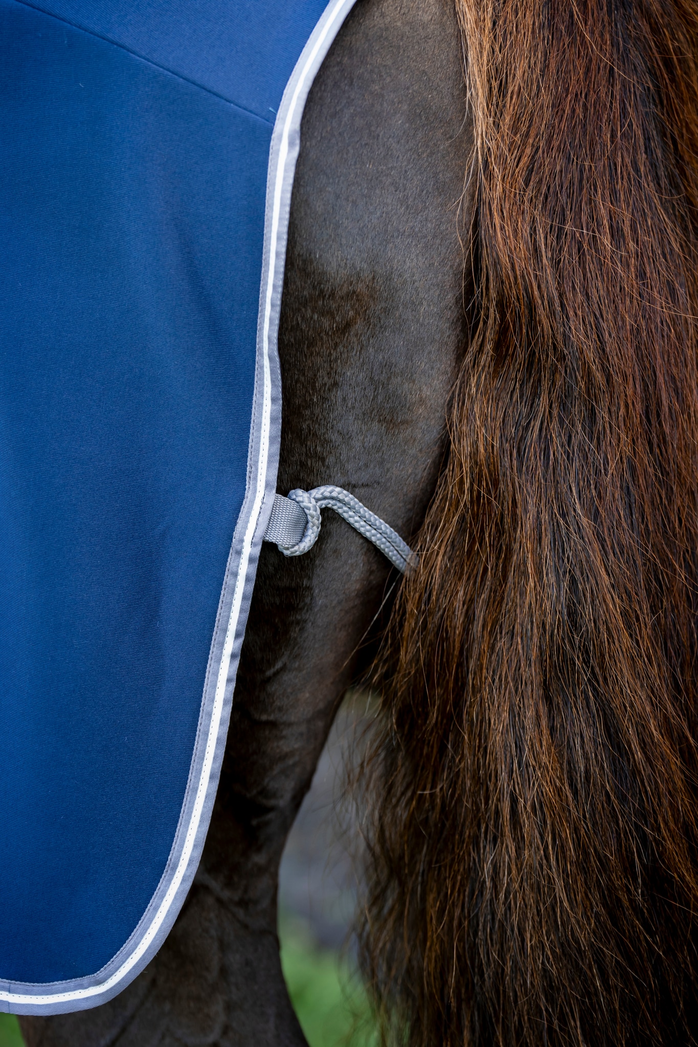 Horseware Amigo Jersey