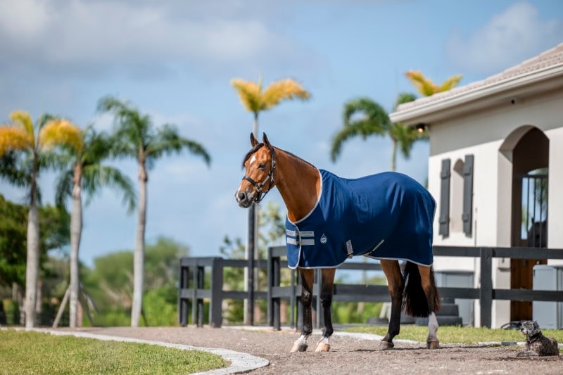 Horseware Amigo stalltäcke