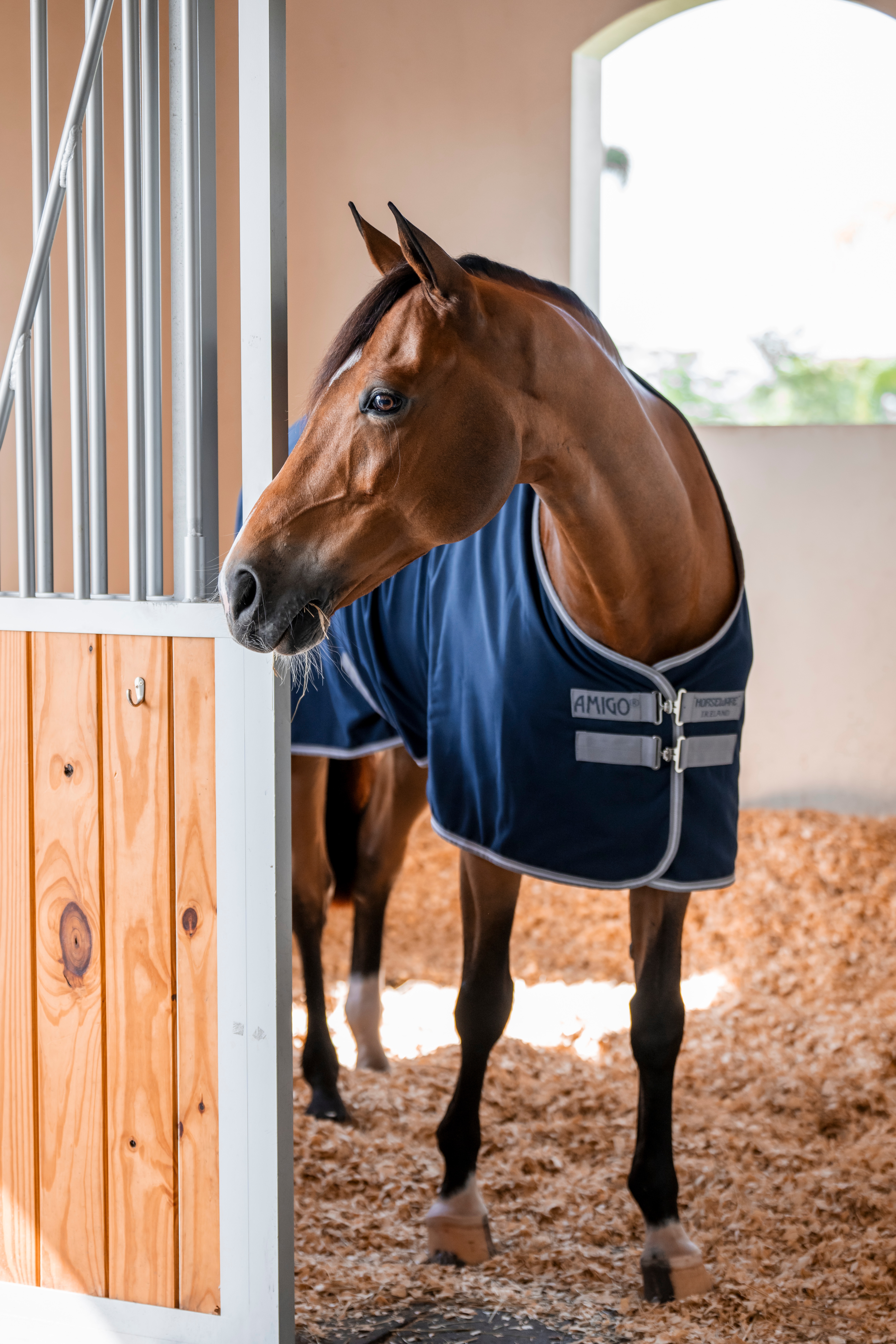 Horseware Amigo stalltäcke