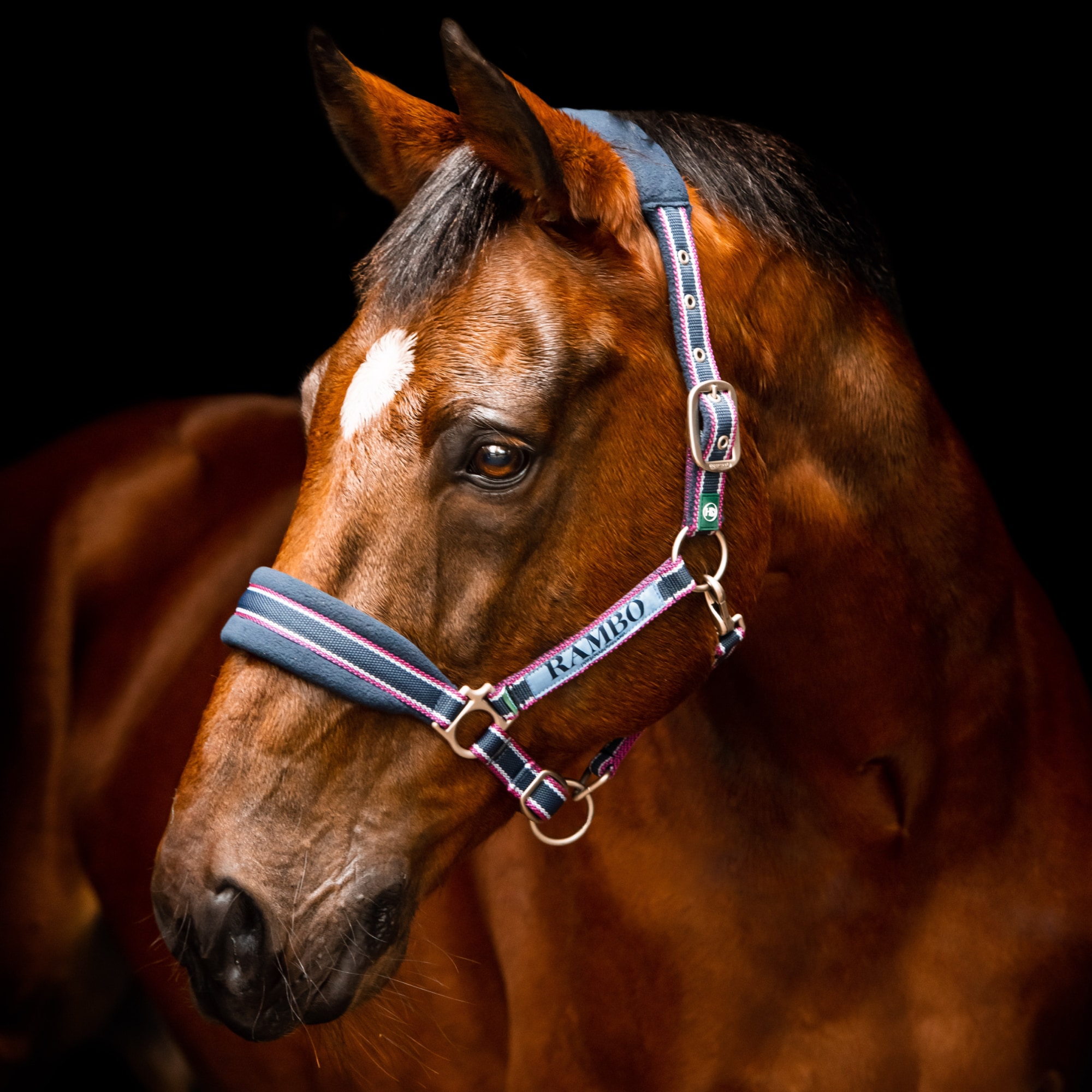 Horseware Rambo Padded Head collar