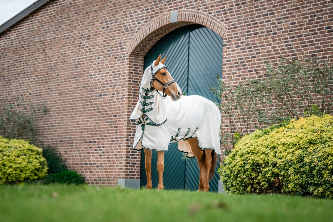 Horseware Rambo Hoody Exzemer Decke mit festem Halsteil