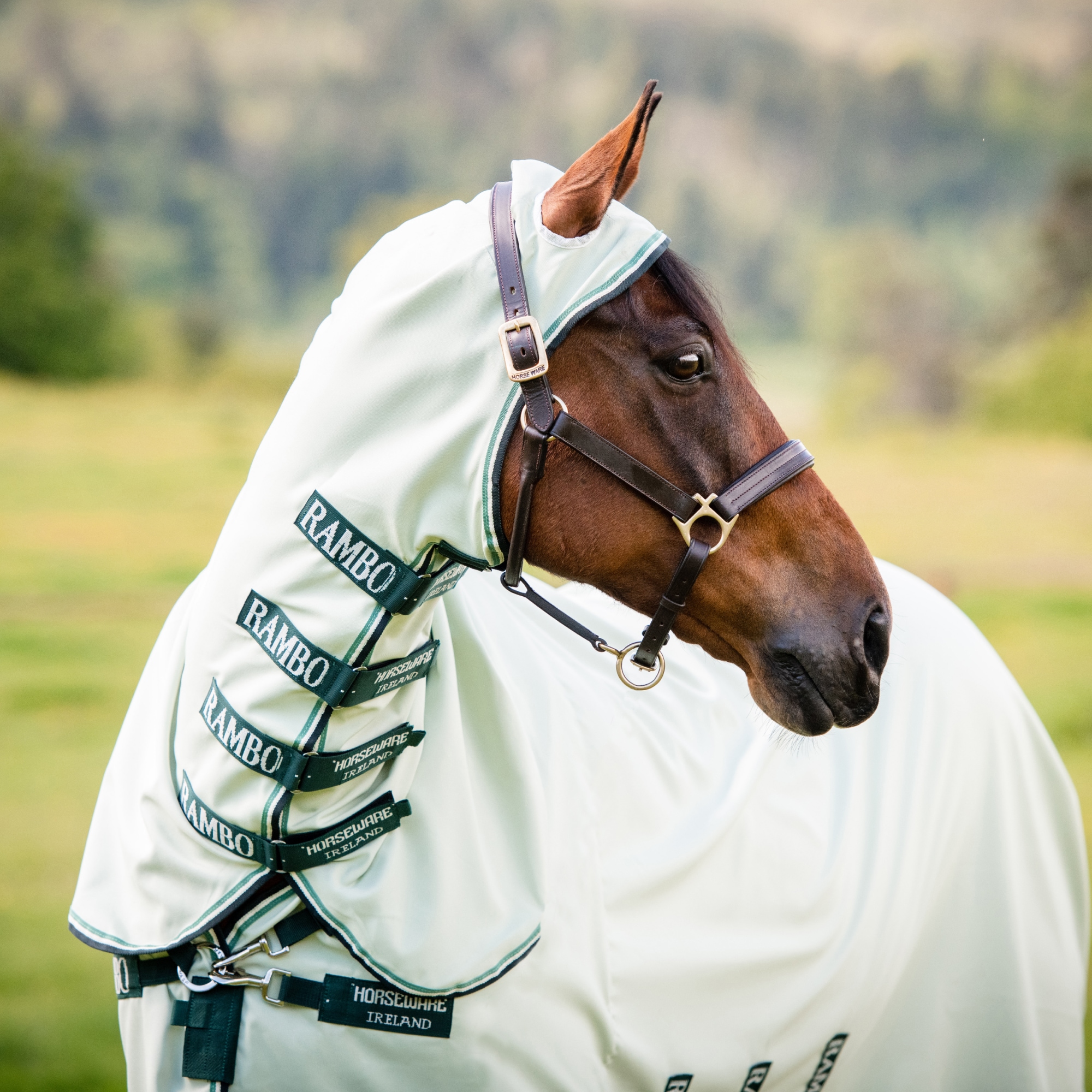 Horseware Rambo Hoody Exzemer Decke mit festem Halsteil