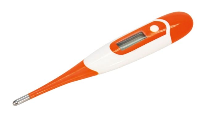 Kerbl Digitalt termometer, vandtæt, fleksibel probe