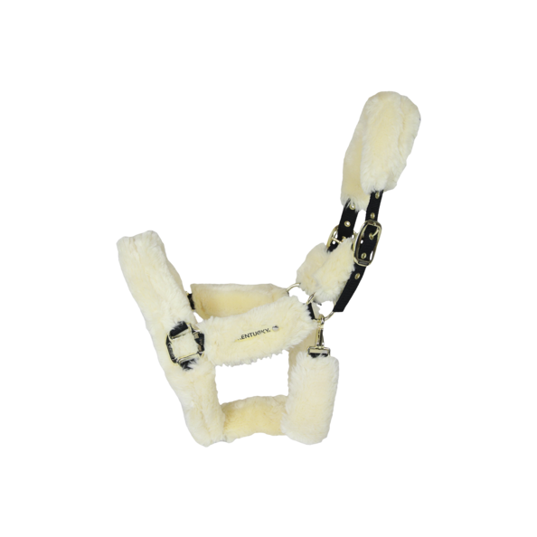 Kentucky Sheepskin Shipping Riimu