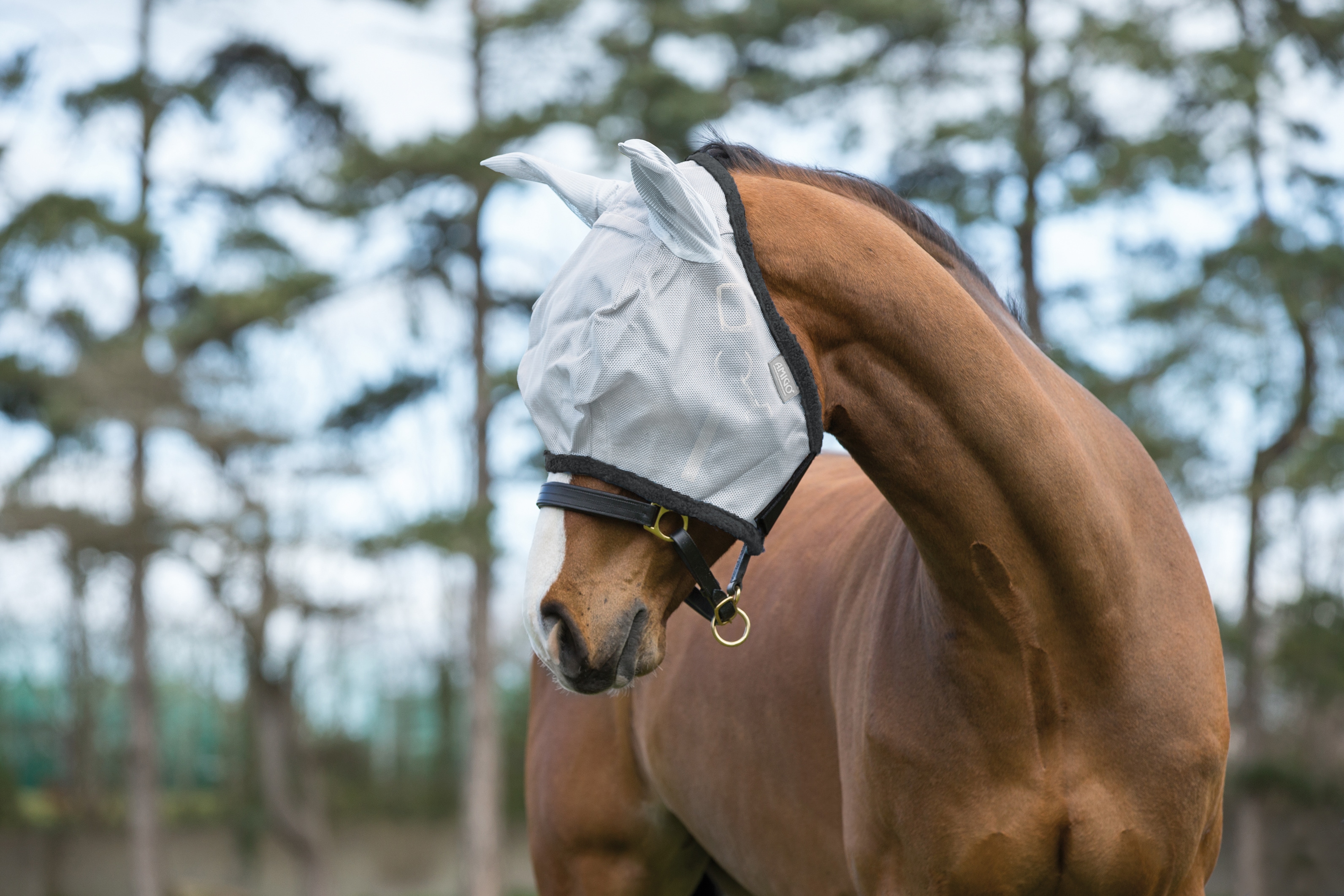 Horseware Amigo Insektsmaske