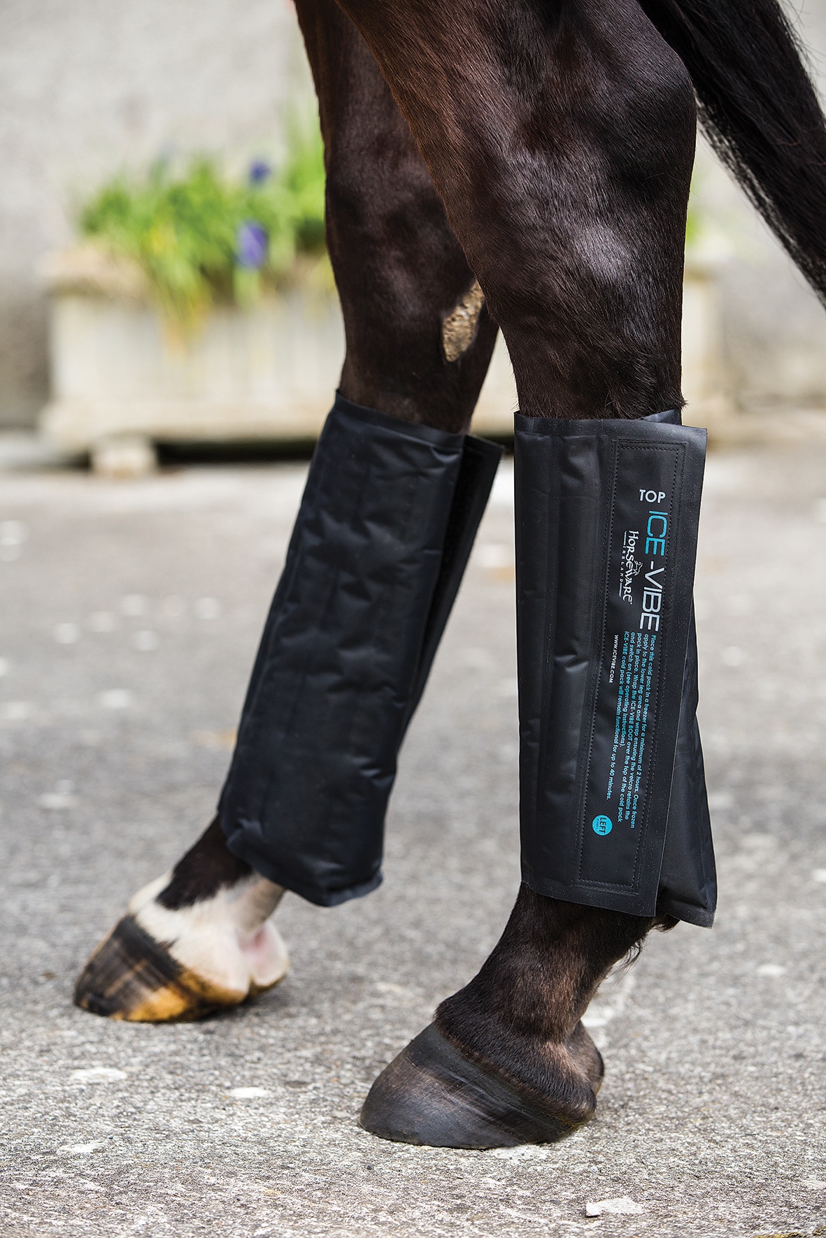 Pack de poches de glace Horseware (Beadversion)