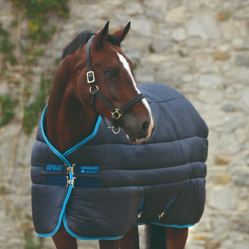 Horseware Amigo Insulator 550g Plus