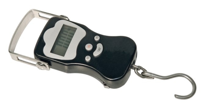 Kerbl Digital weighing scale DigiScale 50, up to 50kg