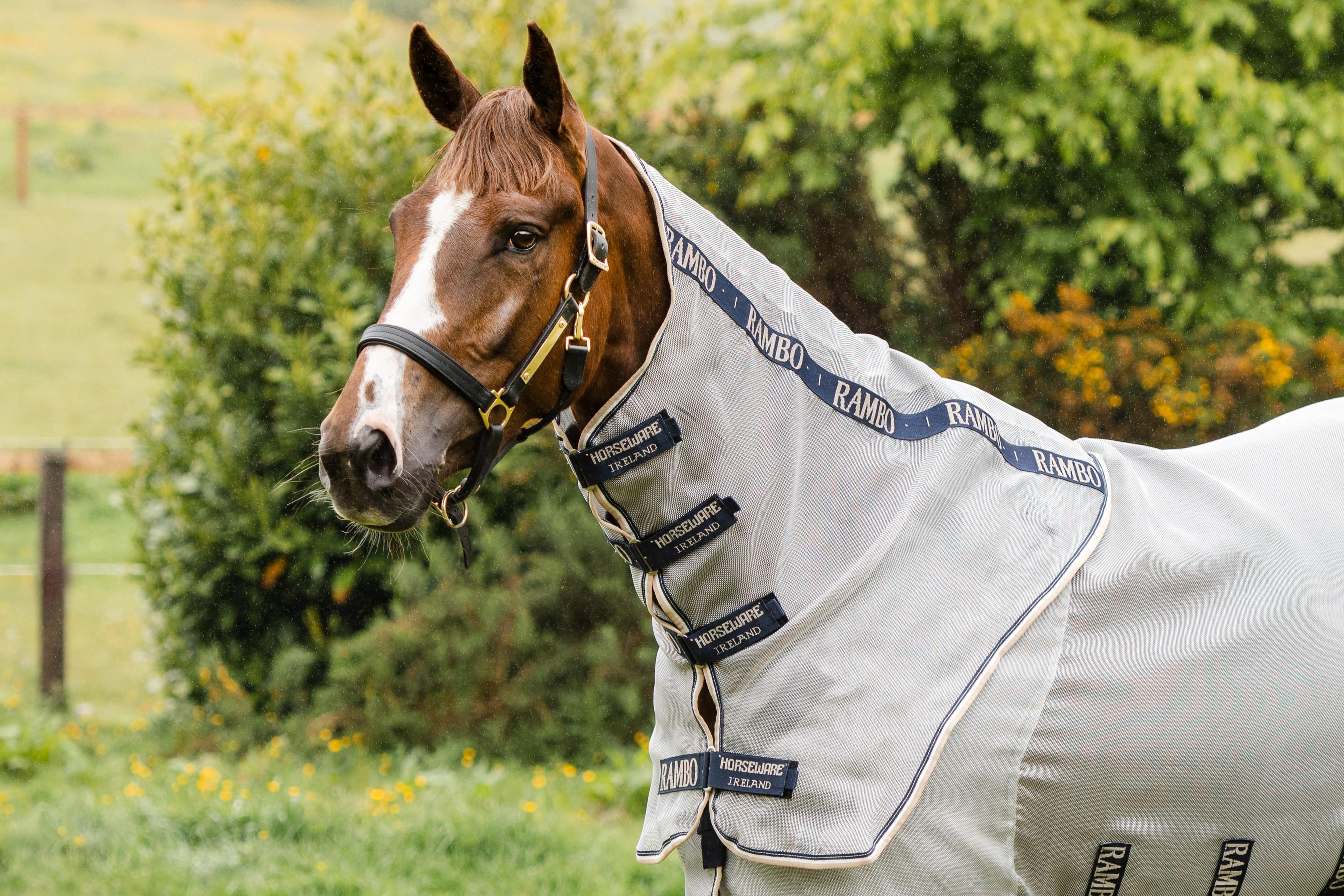 Horseware Rambo Protector Halsteil