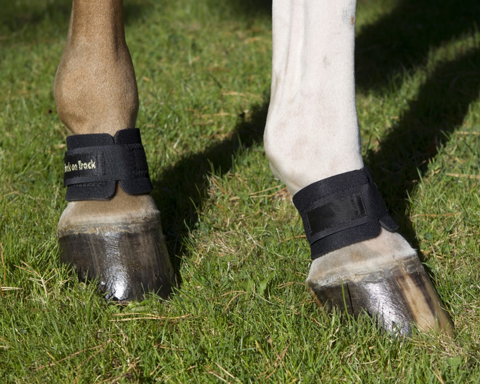 Back On Track Pastern Wrap