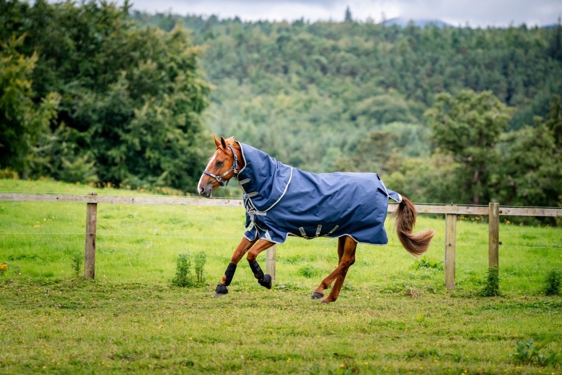 Horseware Amigo Bravo 12 Plus utetäcke Lite, 0g