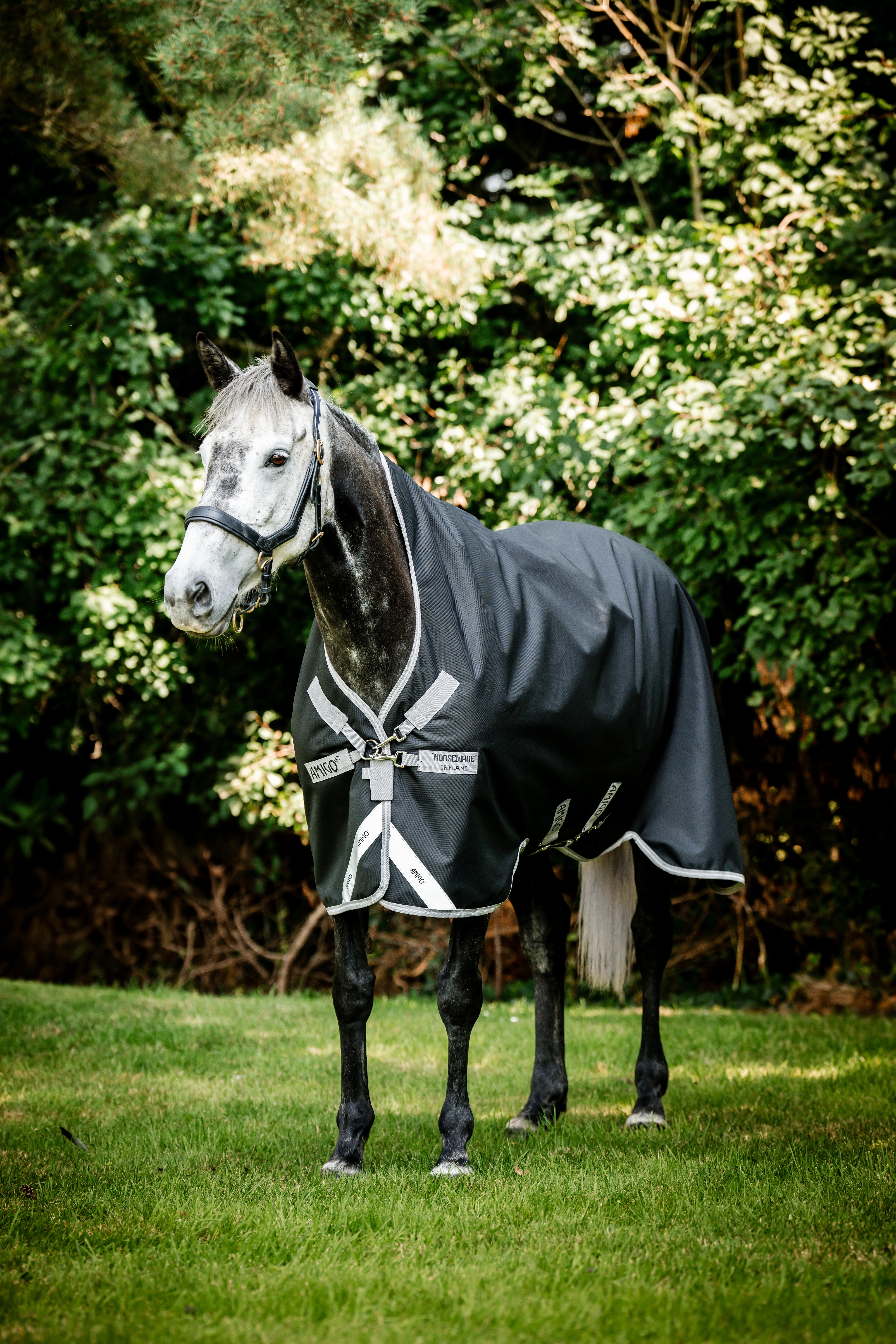 Horseware Amigo Bravo 12 Wug Lite -ulkoloimi, 0g