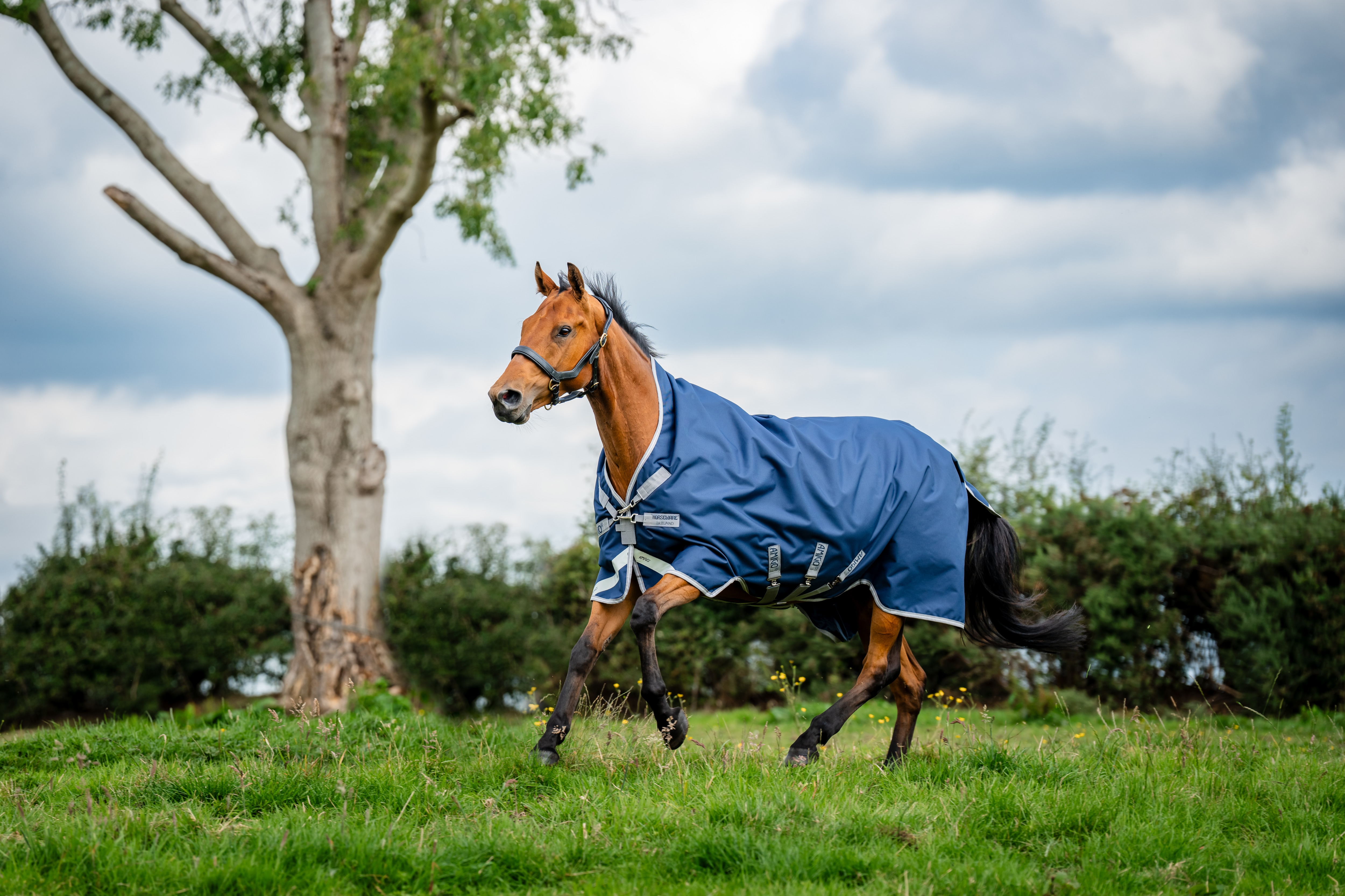 Horseware Amigo Bravo 12 Wug Lite, 0g