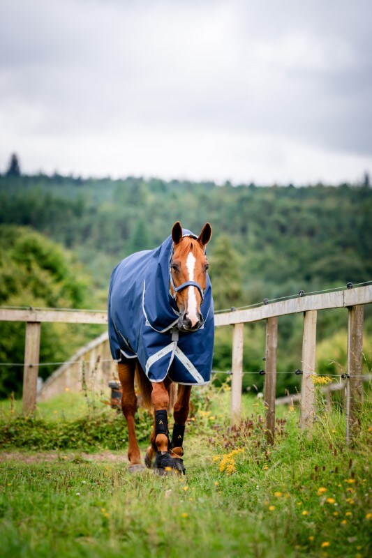 Couverture moyenne Horseware Amigo Bravo12Plus 250g