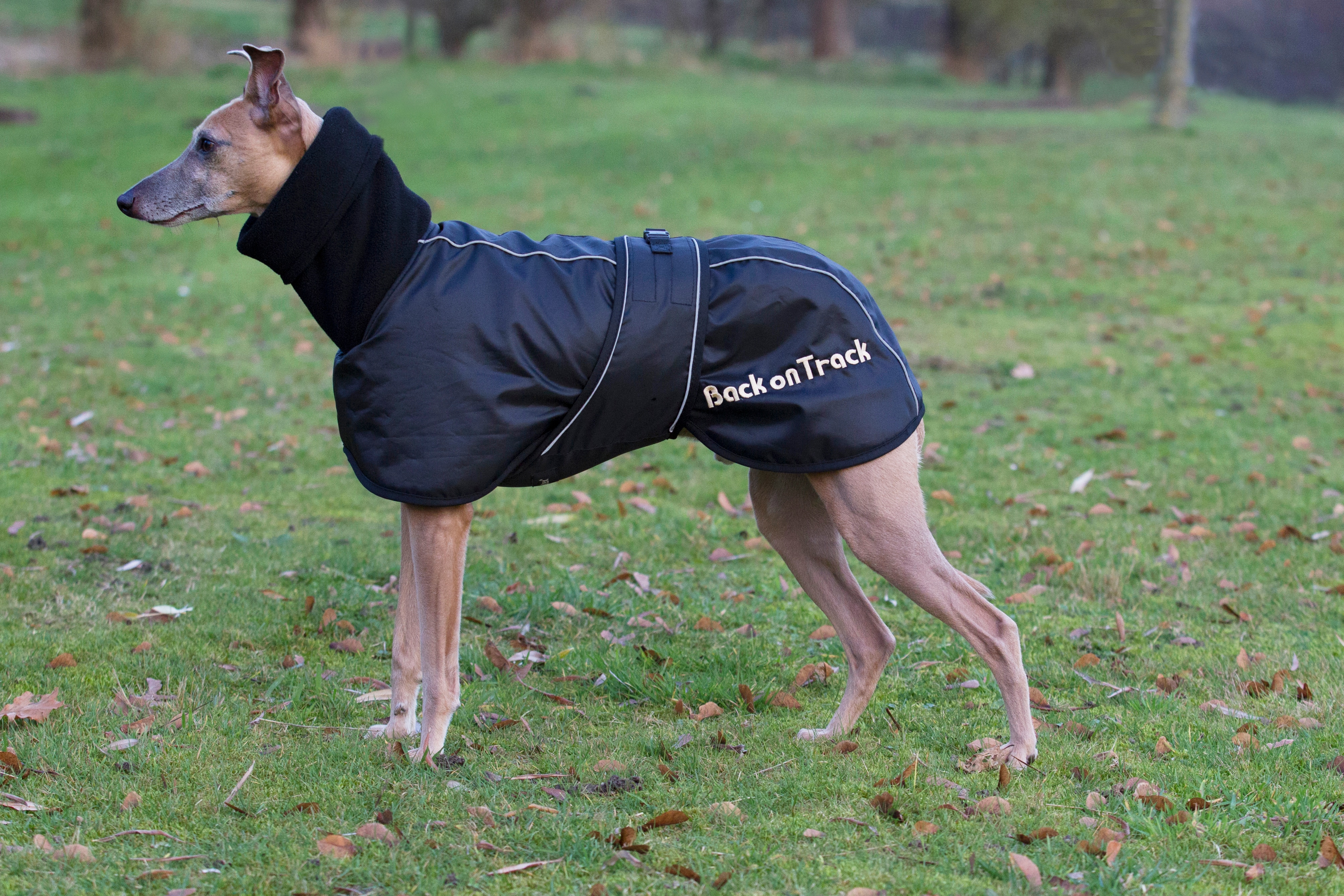 Back On Track Whippet-täcke