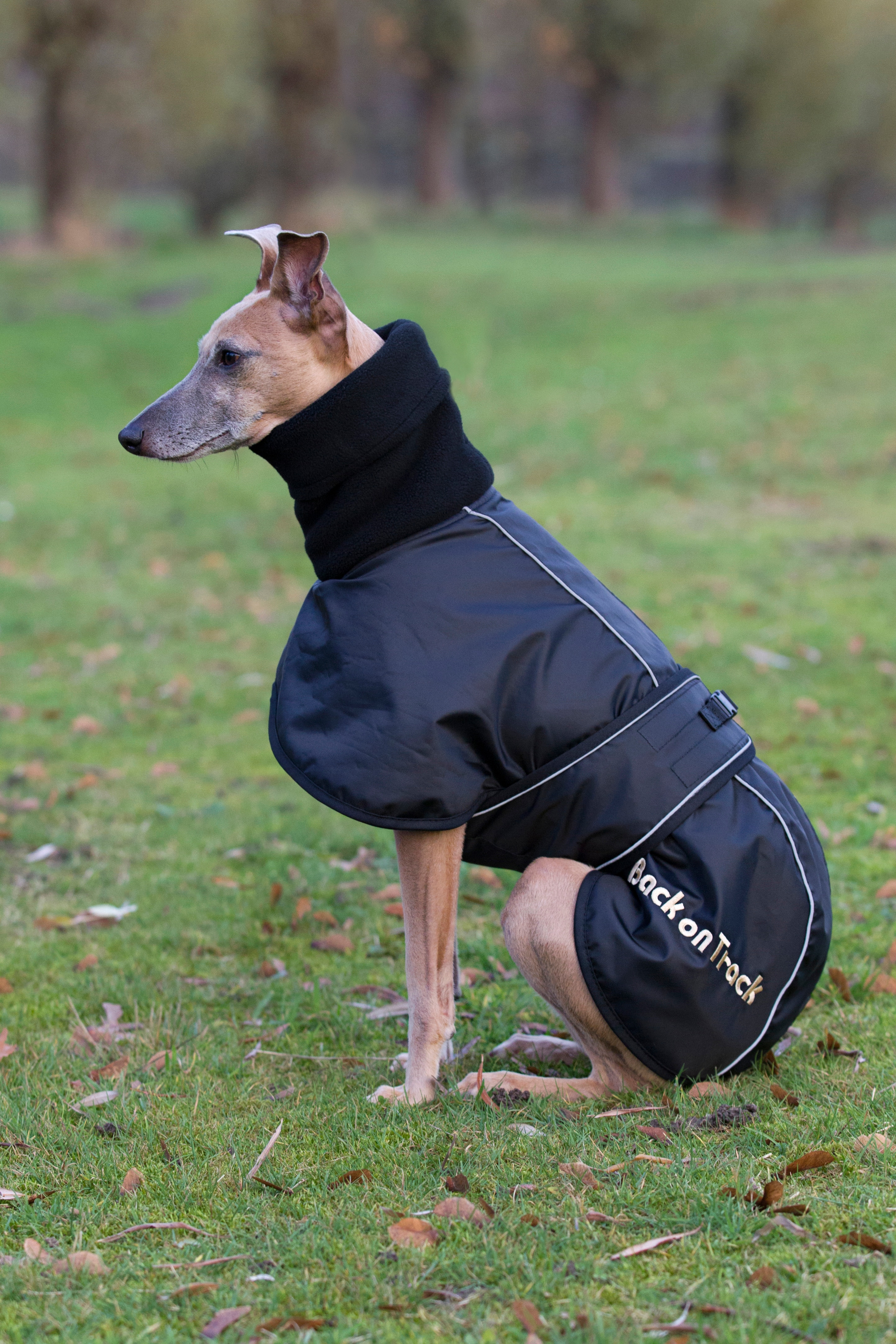 Back On Track Whippet-täcke