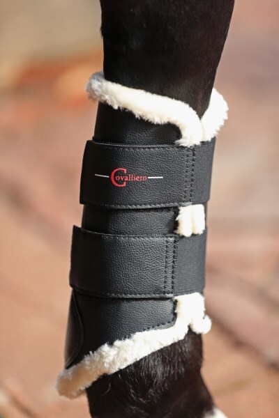 Covalliero dressurgamacher, front.