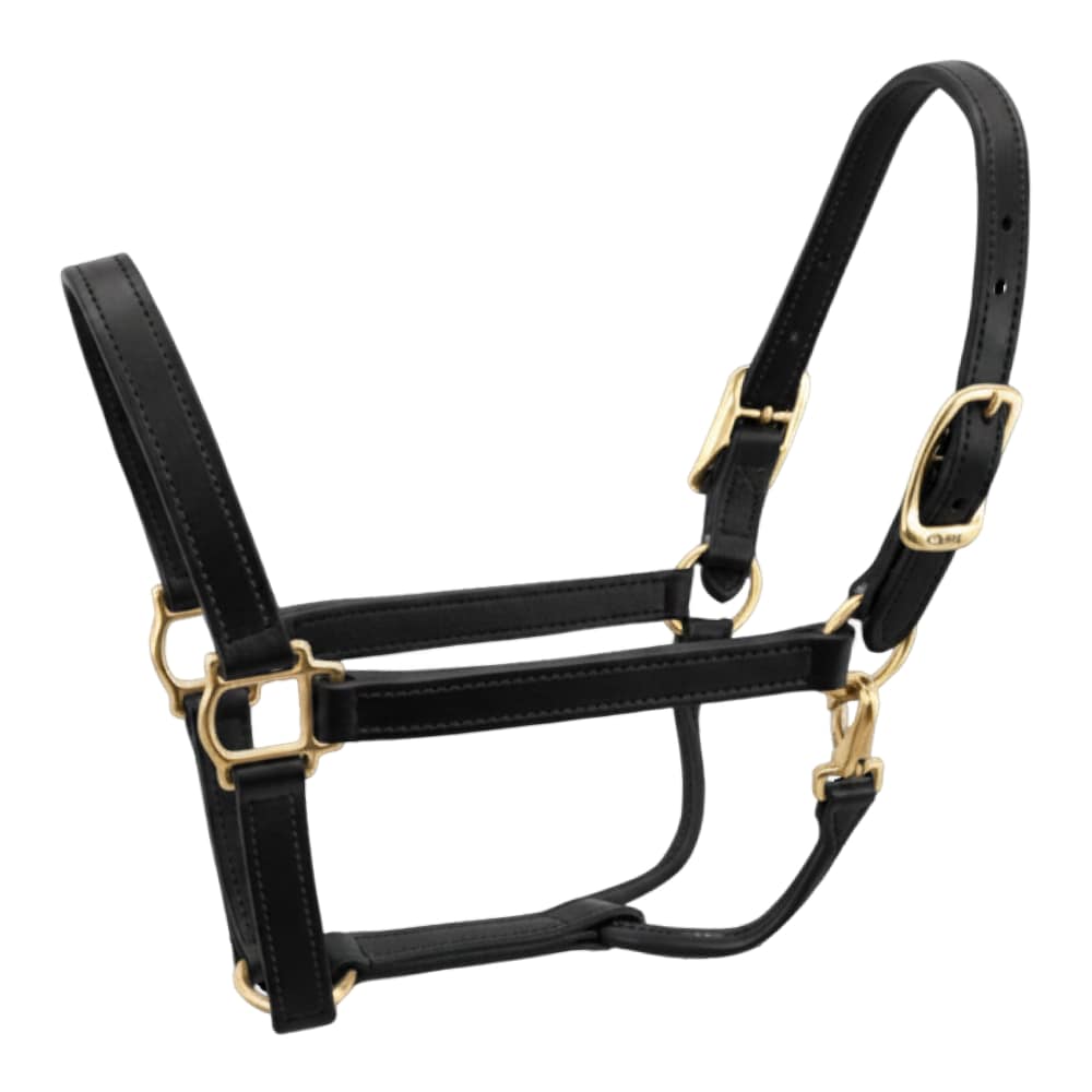 Walsh British Halter