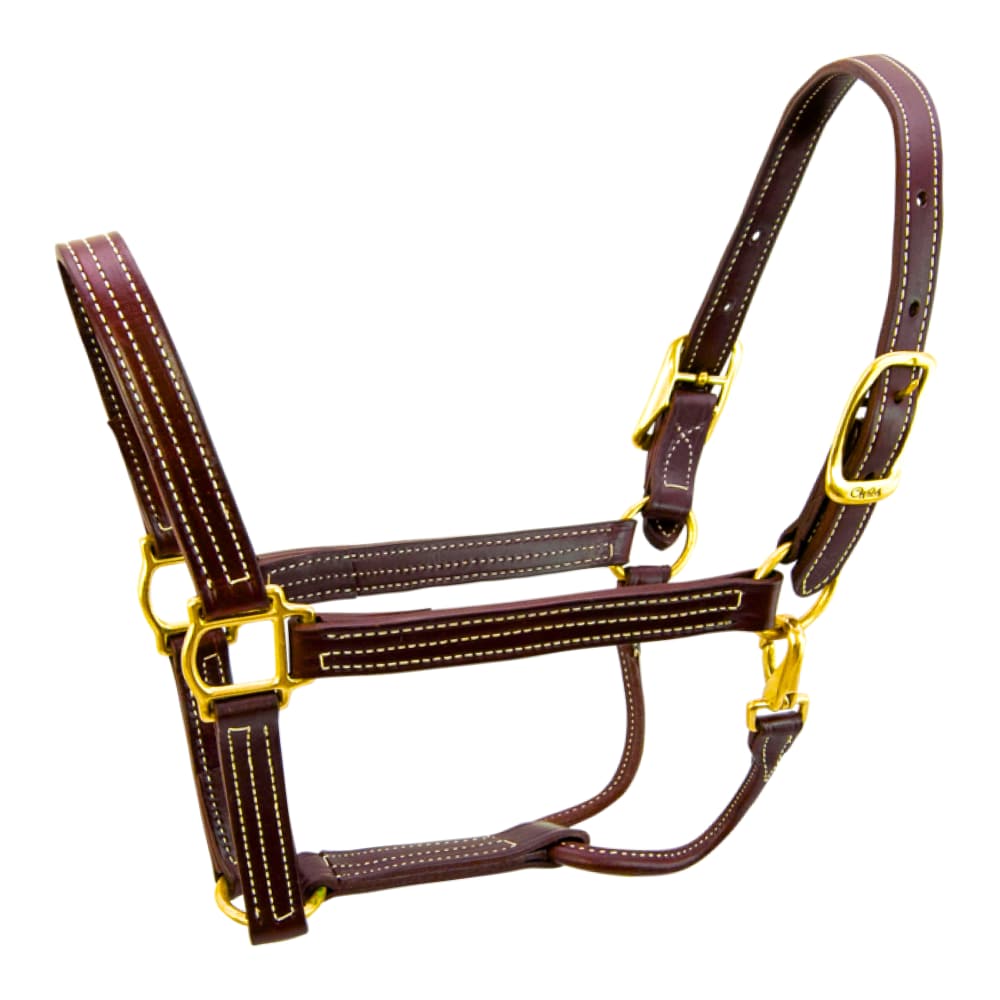 Walsh British Halter