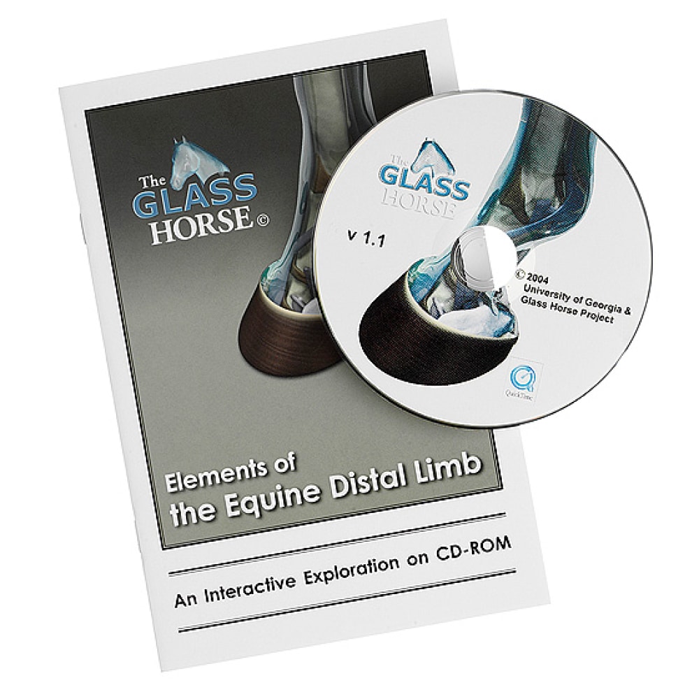 DVD The Glass Horse Anatomy 3D