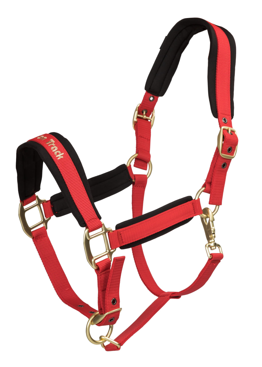 Licol Werano Back On Track - Matériau Welltex Au Nez, Ganaches Et Nuque - Poney, Cob, Full