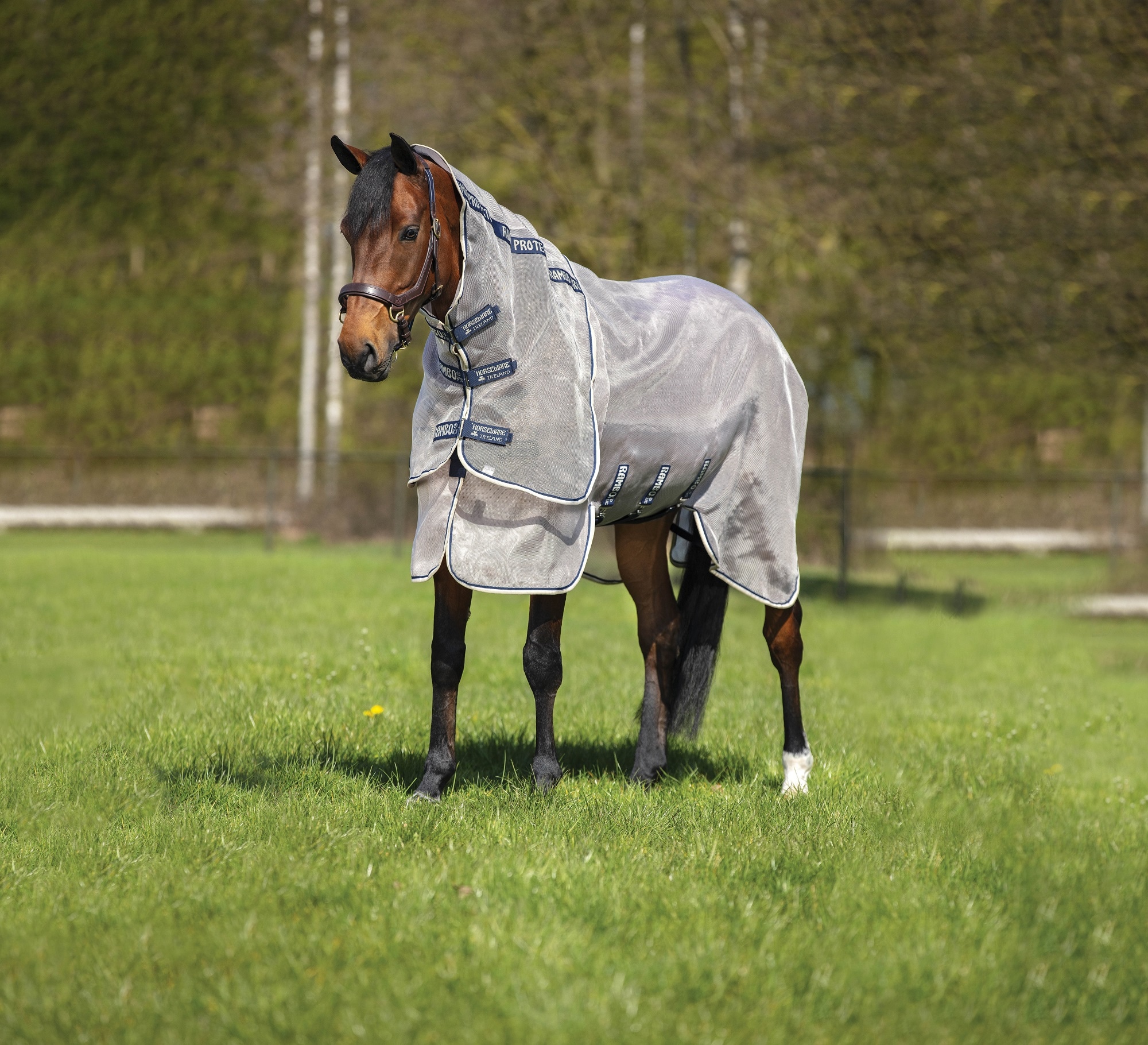 Horseware Rambo Protector Plus