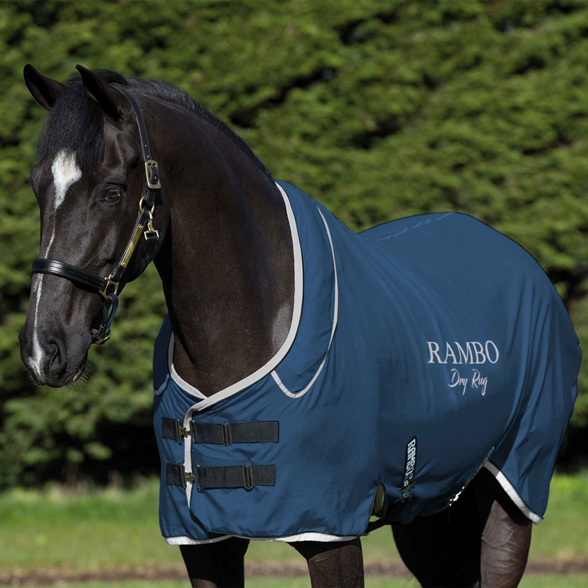 Horseware Rambo SPORT COOLER Wicking Stable/Travel Sheet Sweat Rug Navy ALL SIZE 