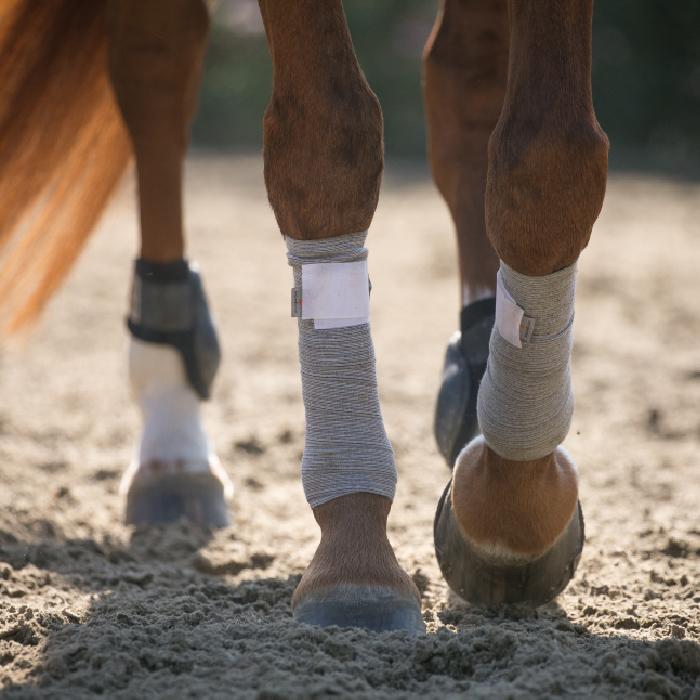 Waldhausen Star 4 Pack Horse Pony Polo Stable Exercise Fleece Bandages Leg Wrap 
