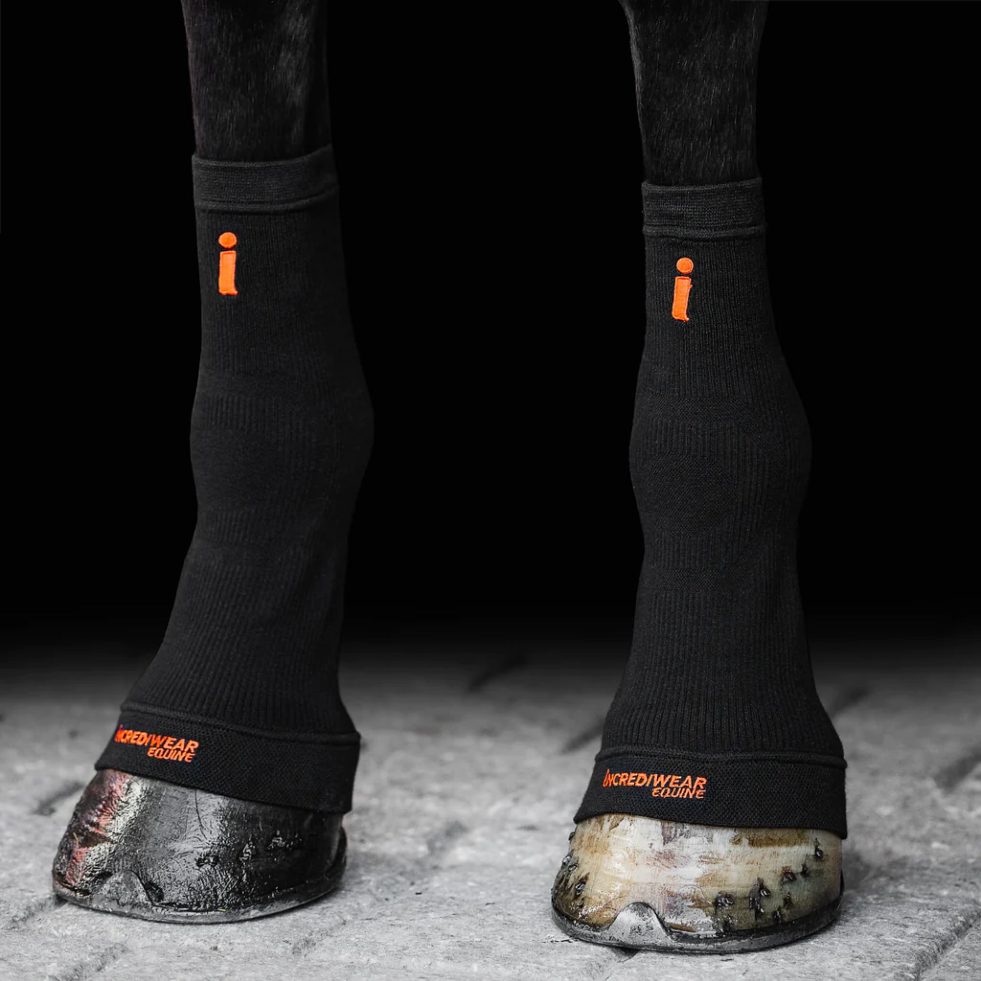 Incrediwear Equine Circulation Hoof Socks bandasjer (par)