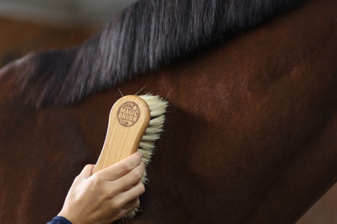 MagicBrush Combi Horse Brush