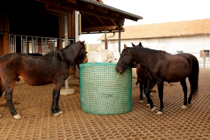 Kerbl Filet à foin pour balles rondes, hauteur 180 cm