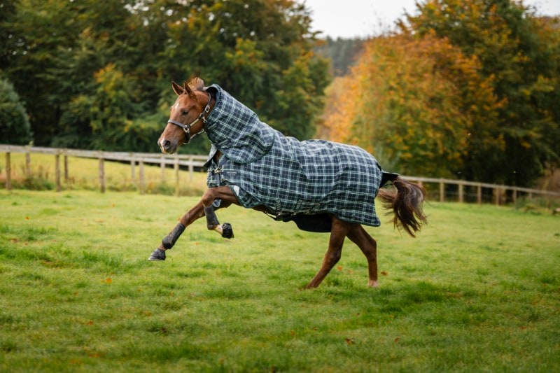 Rhino Plus Turnout Lite incl. detachable neck, 0gr