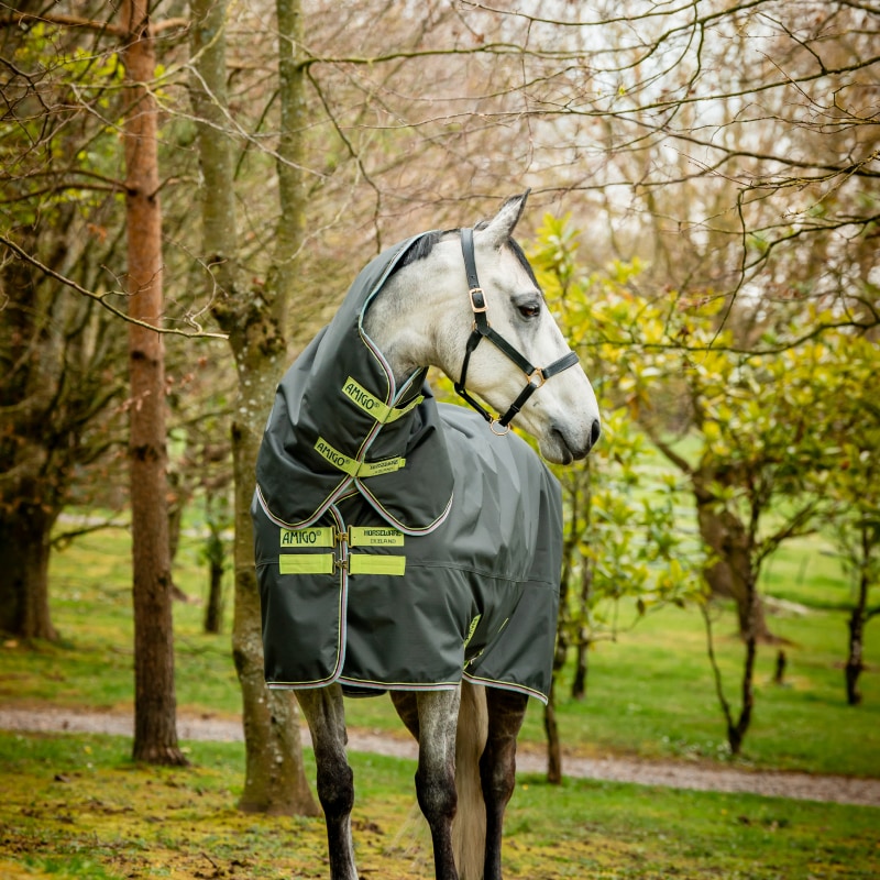 Amigo Hero Ripstop Plus Turnout Rug with Detachable Neck, 100g