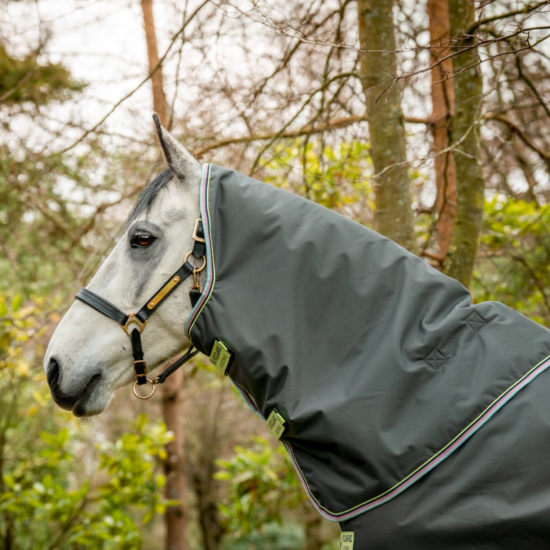 Amigo Hero Ripstop Plus Turnout Rug with Detachable Neck, 100g